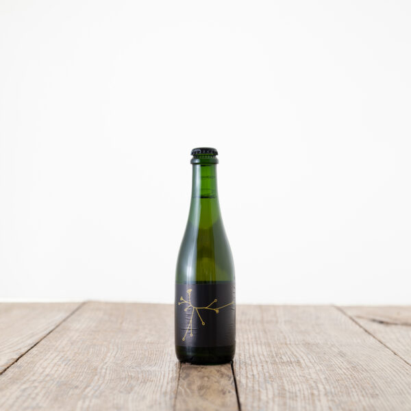 spo saison brett